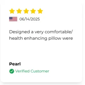Derila Ergo Memory Foam Pillow Customer Reviews