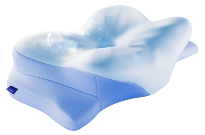 Derila Ergo Memory Foam Pillow Reviews