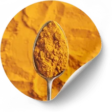 Nervolyn Turmeric (Curcuma longa)